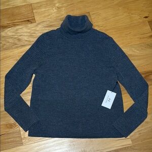 Halston Extra Fine Merino Wool Turtleneck Sweater